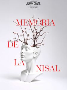 Memoria de la nisal
